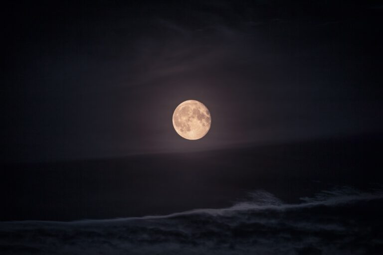 Purnima in 2024