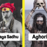 naga-sadhus-mystique