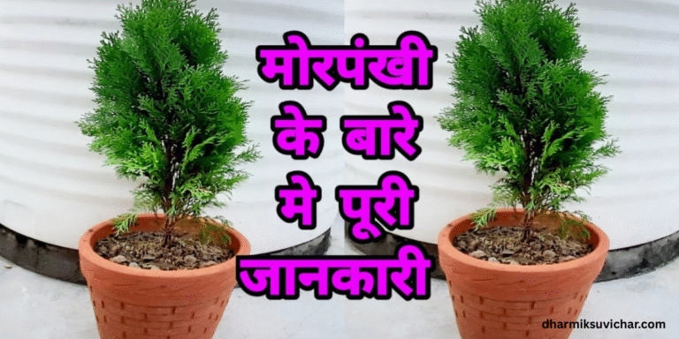 Vastu Tips