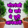 Vastu Tips